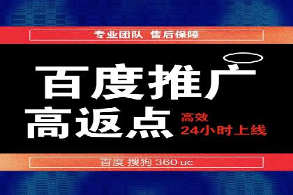 竞价广告与自然搜索的结合策略：XX网站的案例分析